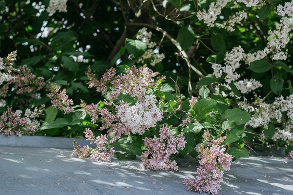 Céramique artisanale : des créations pour votre intérieur unique